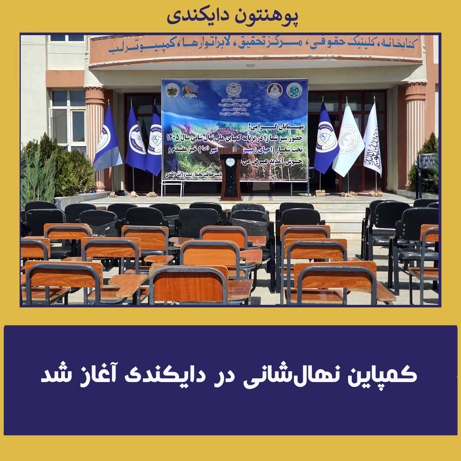 کمپاین نهال‌شانی در دایکندی آغاز شد