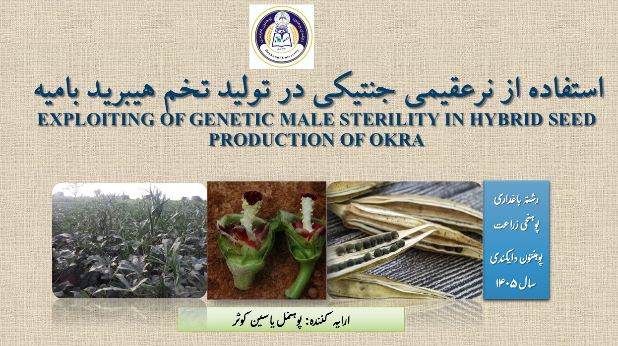 نشست علمی در مورد نتایج تحقیقات تحت عنوان استفاده از نر عقیمی جنتیکی در تولید تخم هیبرید بامیه برگزار شد